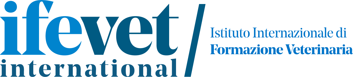 Ifevet IT