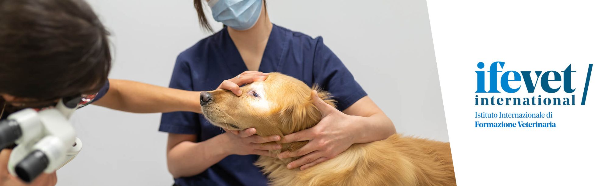 Course Image Formazione universitaria post laurea in Neurologia 2025