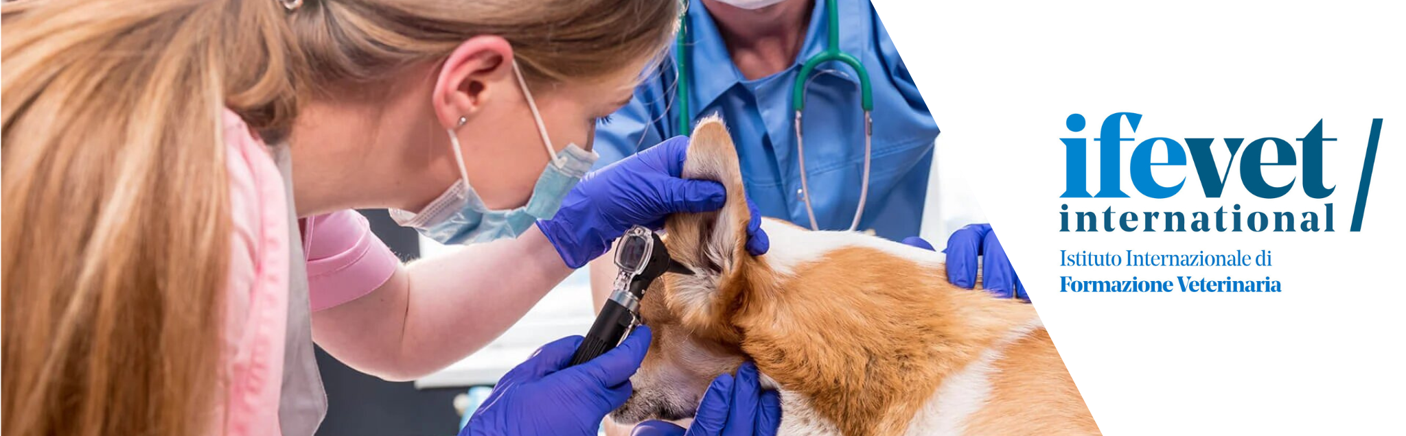 Course Image Formazione universitaria post laurea in Dermatologia 2025