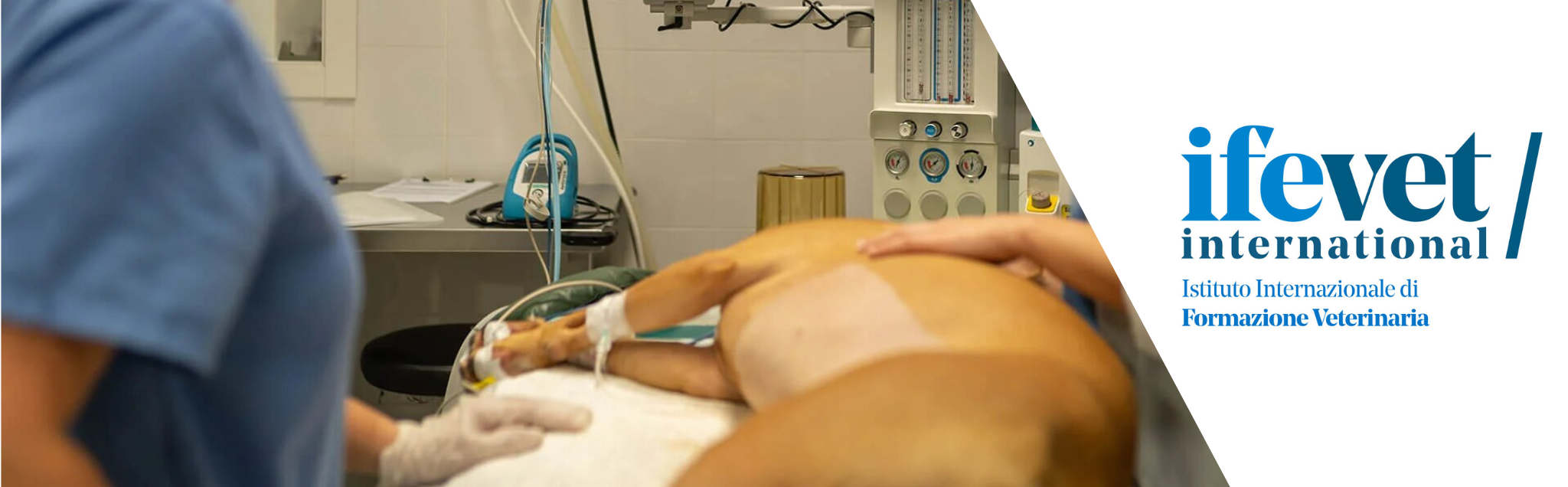 Course Image Formazione universitaria post laurea in Anestesia 2025