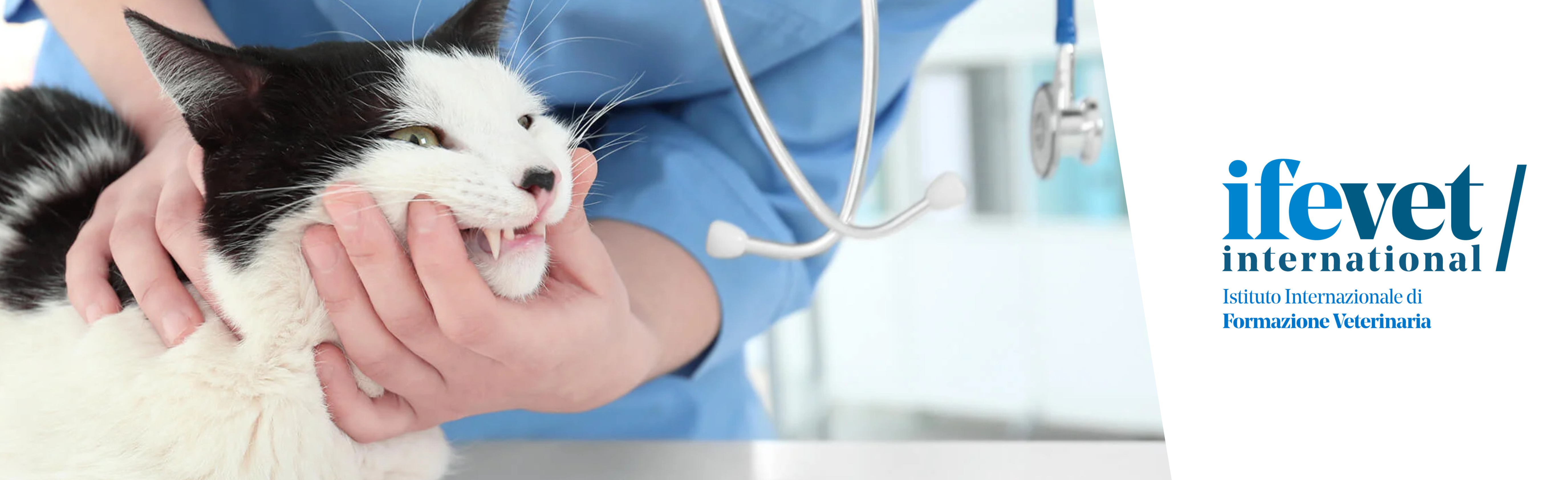 Course Image Formazione universitaria post-laurea in Odontostomatologia e Chirurgia Orale 2025