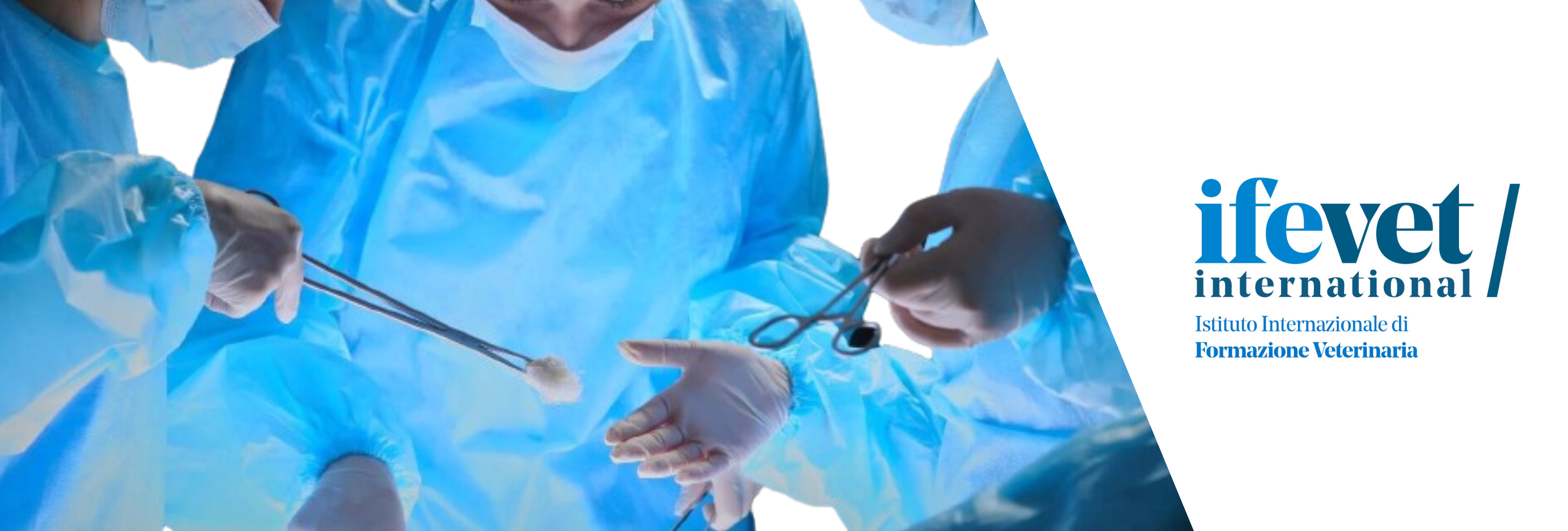 Course Image Formazione post-laurea in Chirurgia dei Tessuti Molli 2026