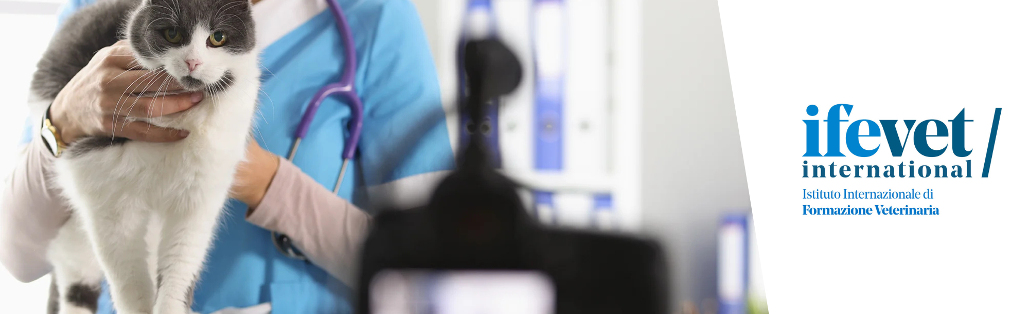 Course Image Formazione universitaria post-laurea in Medicina Felina 2026