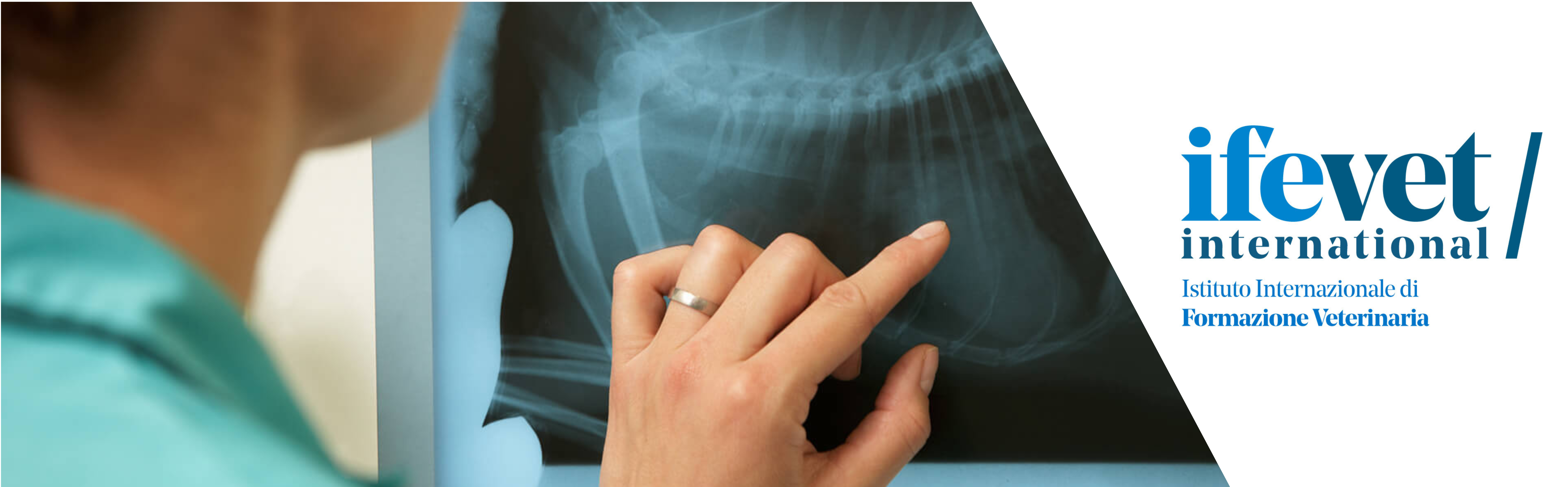 Course Image Formazione universitaria post-laurea in Medicina Interna 2024